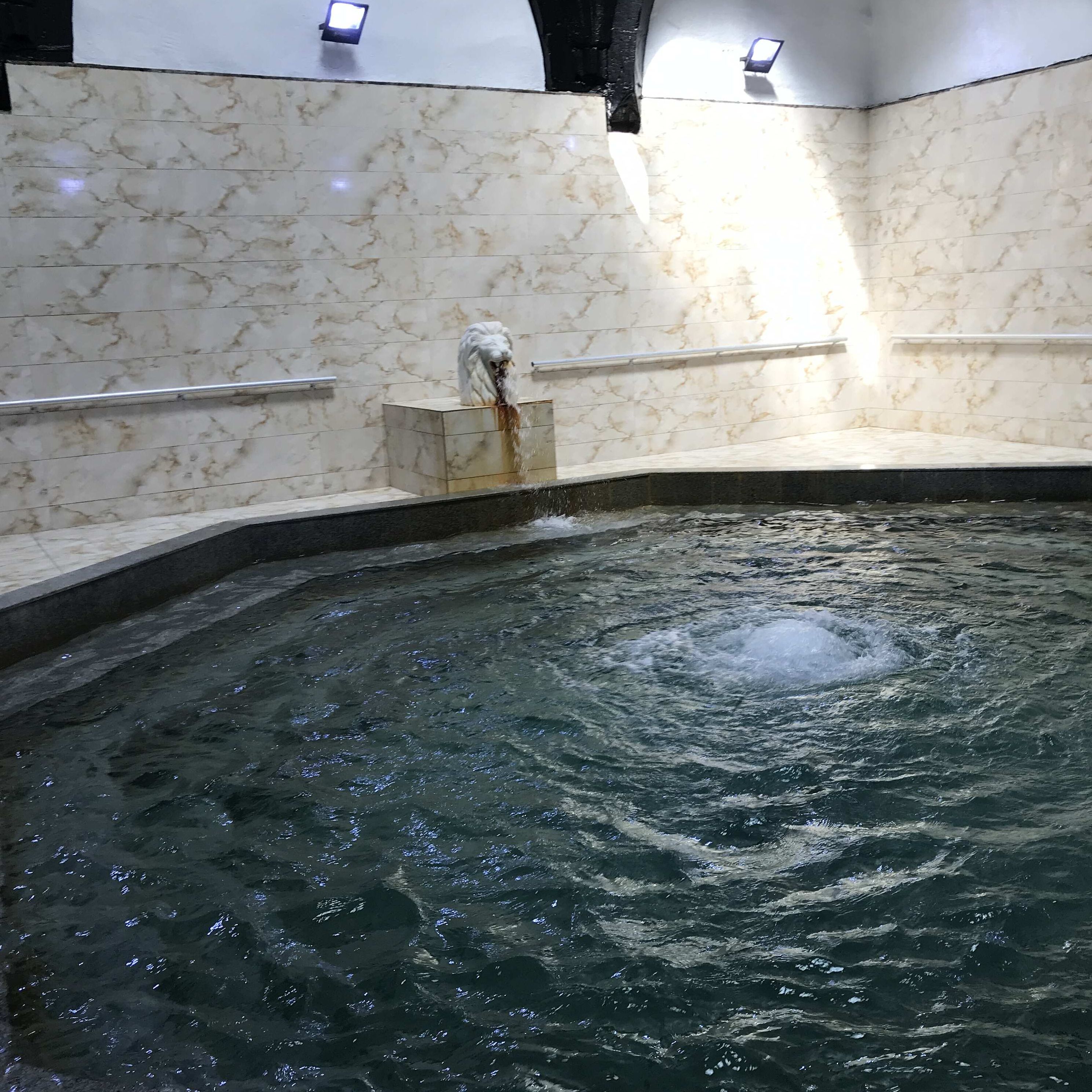 Pasinler Kaplıcaları fotoğrafı