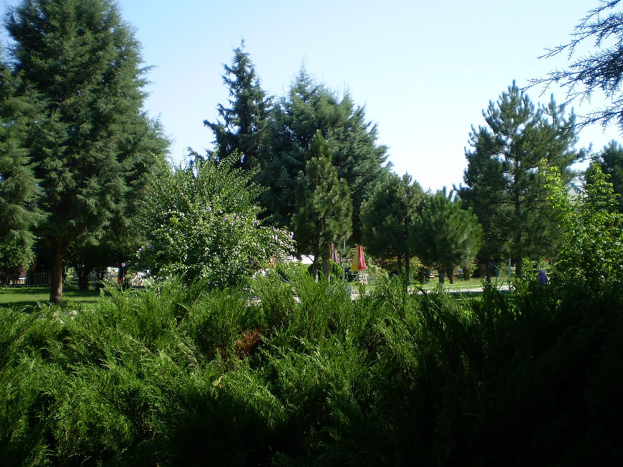 Simav Kaplıcaları kaplıca fotoğrafı 3